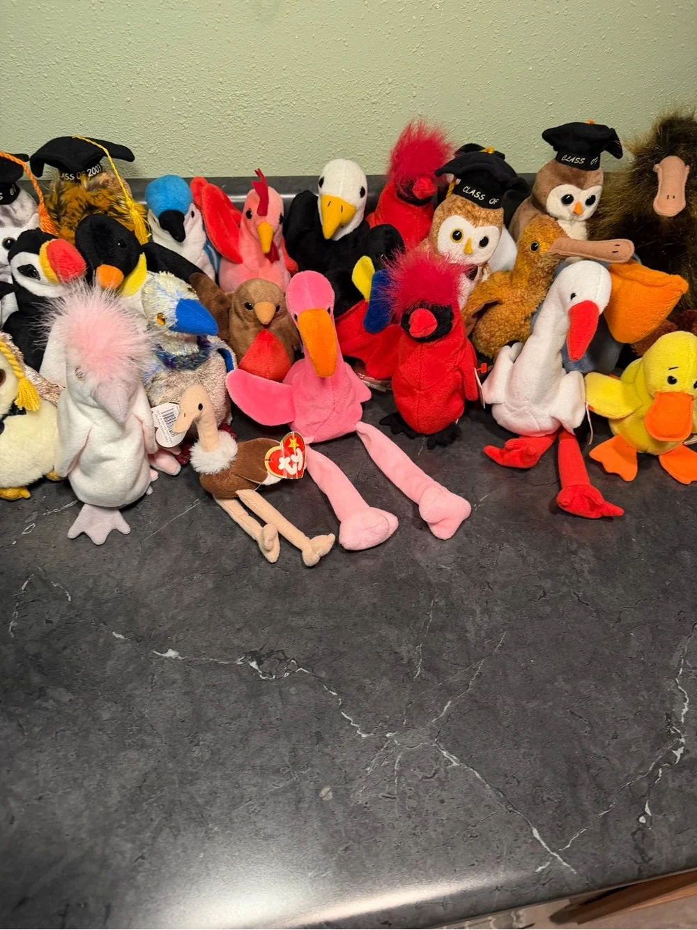 Ty Beanie Babies Bird and Graduation Owl Collection